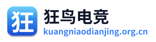 狂鸟电竞